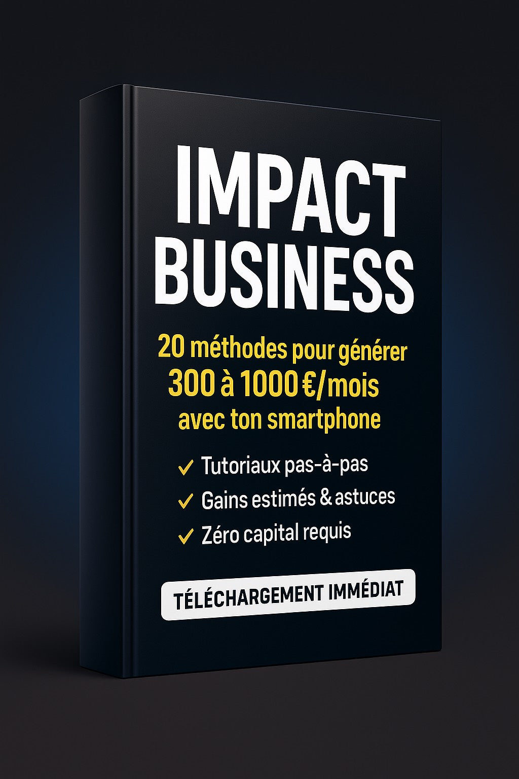 Impact Business - 10 solutions simples pour arrondir les fins de mois